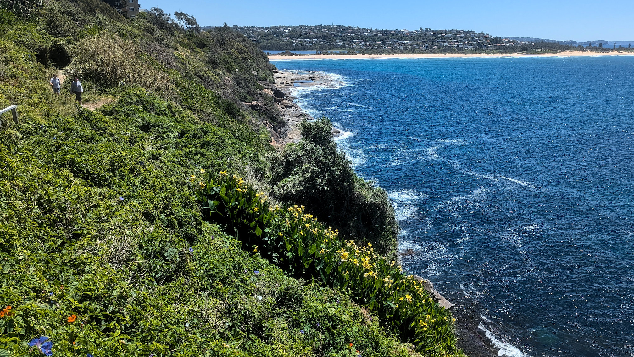 dy_curlcurl track (6)